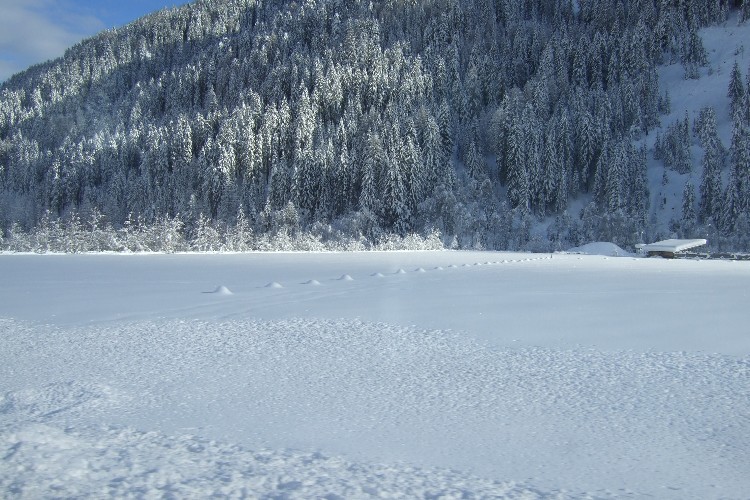 Val d''Ultimo innevata.